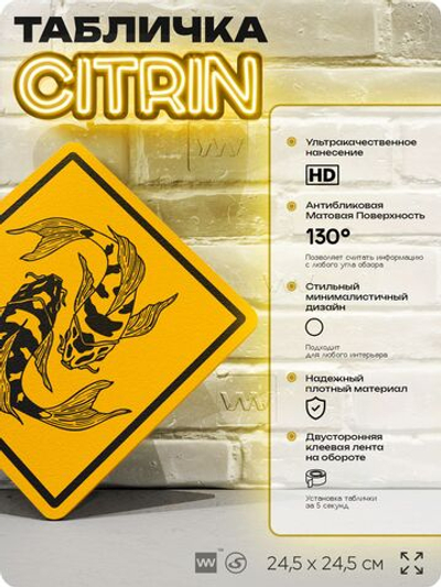 Табличка декоративная "Японские карпы" на дверь и стену, информационная и предупреждающая, декоративный знак, 24,5х24,5 см, пластиковая, Айдентика Технолоджи