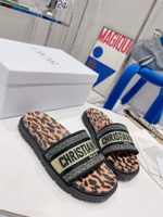 Christian Dior Dway Slide