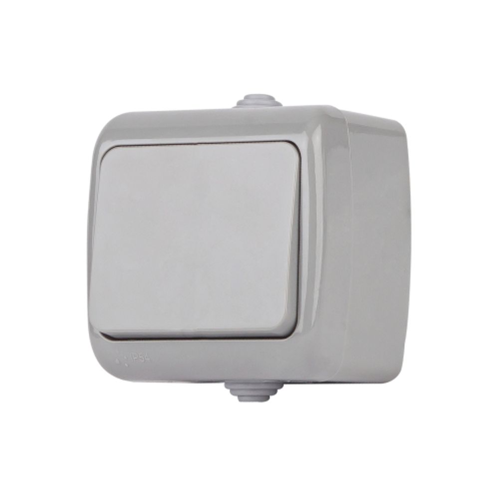 Выключатель Intro Atlantic 5-101-03 10А-250В, IP54, открытой установки, серый | Intro