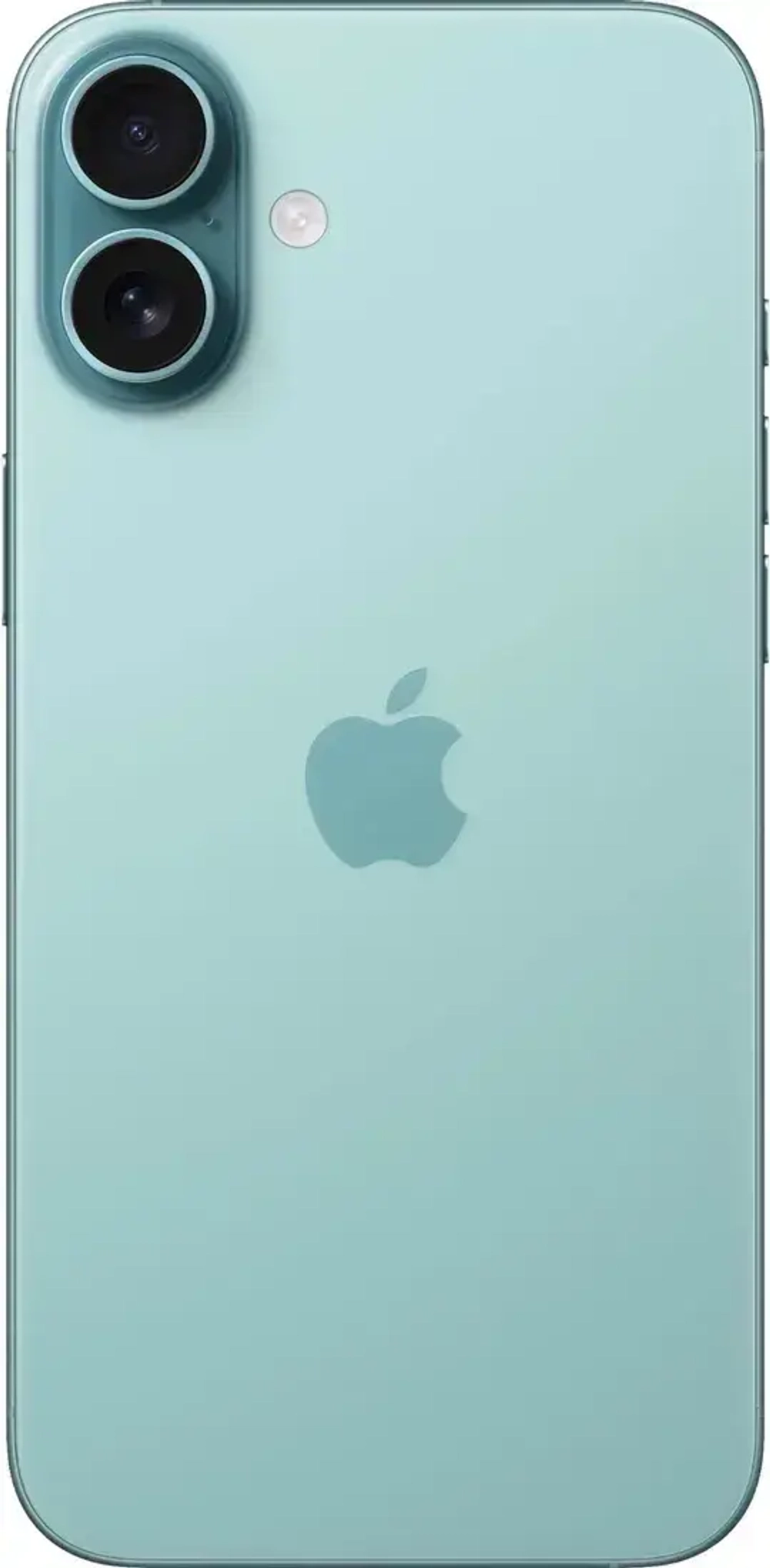 Смартфон Apple iPhone 16 Plus 256 ГБ Бирюзовый