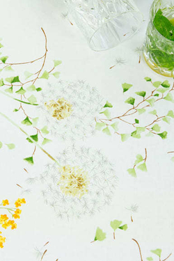 Скатерть 160x225 и 8 салфеток Vallesusa Excelsior Soffione 15740 Giallo