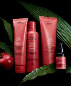 Aveda Nutriplenish Shampoo Deep Moisture - интенсивно питательный шампунь для сухих волос /   250  ml  / GTIN 018084014424