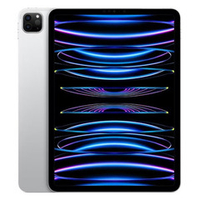 iPad Pro 11 M2