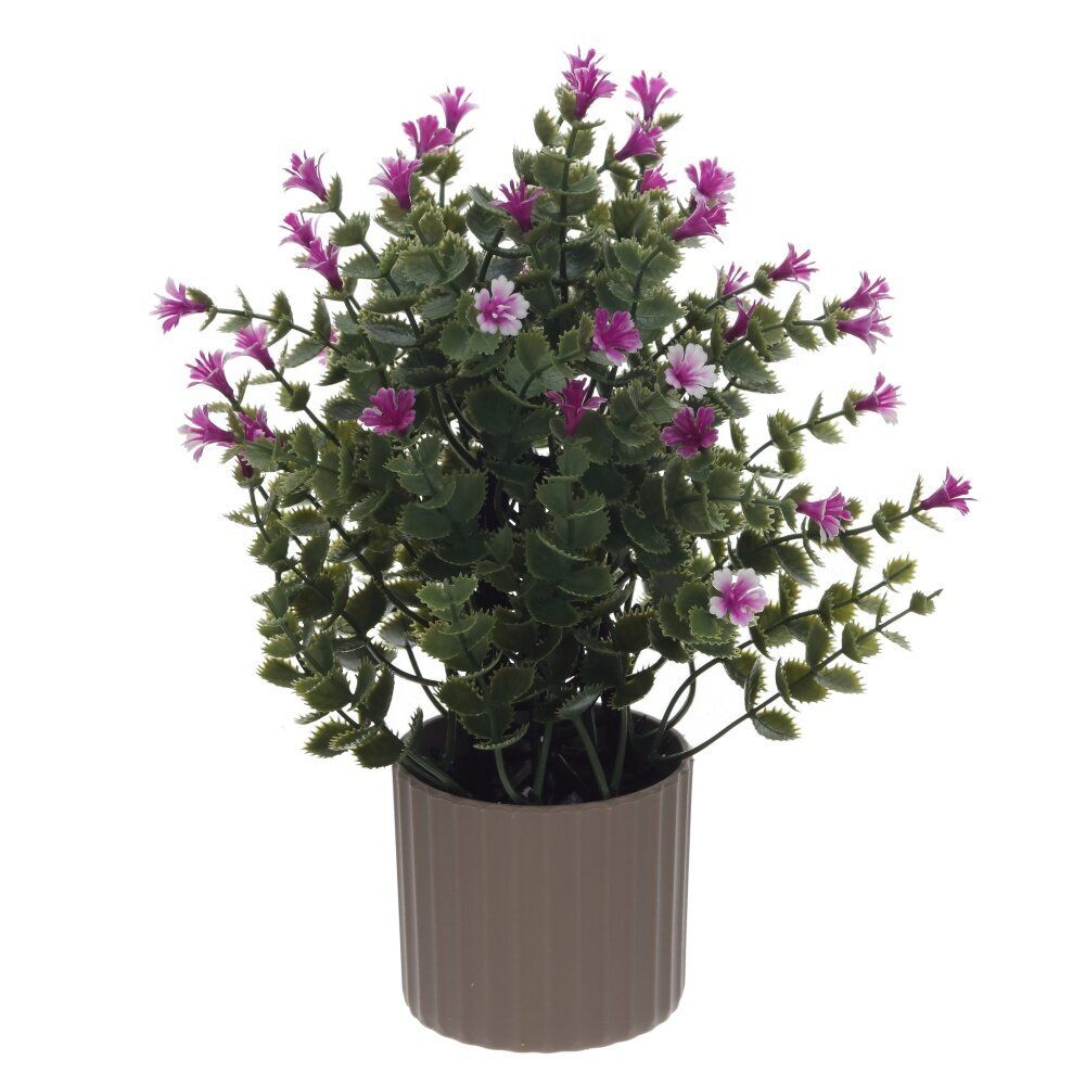 GAEM Цветочная композиция, L16 W16 H26 см