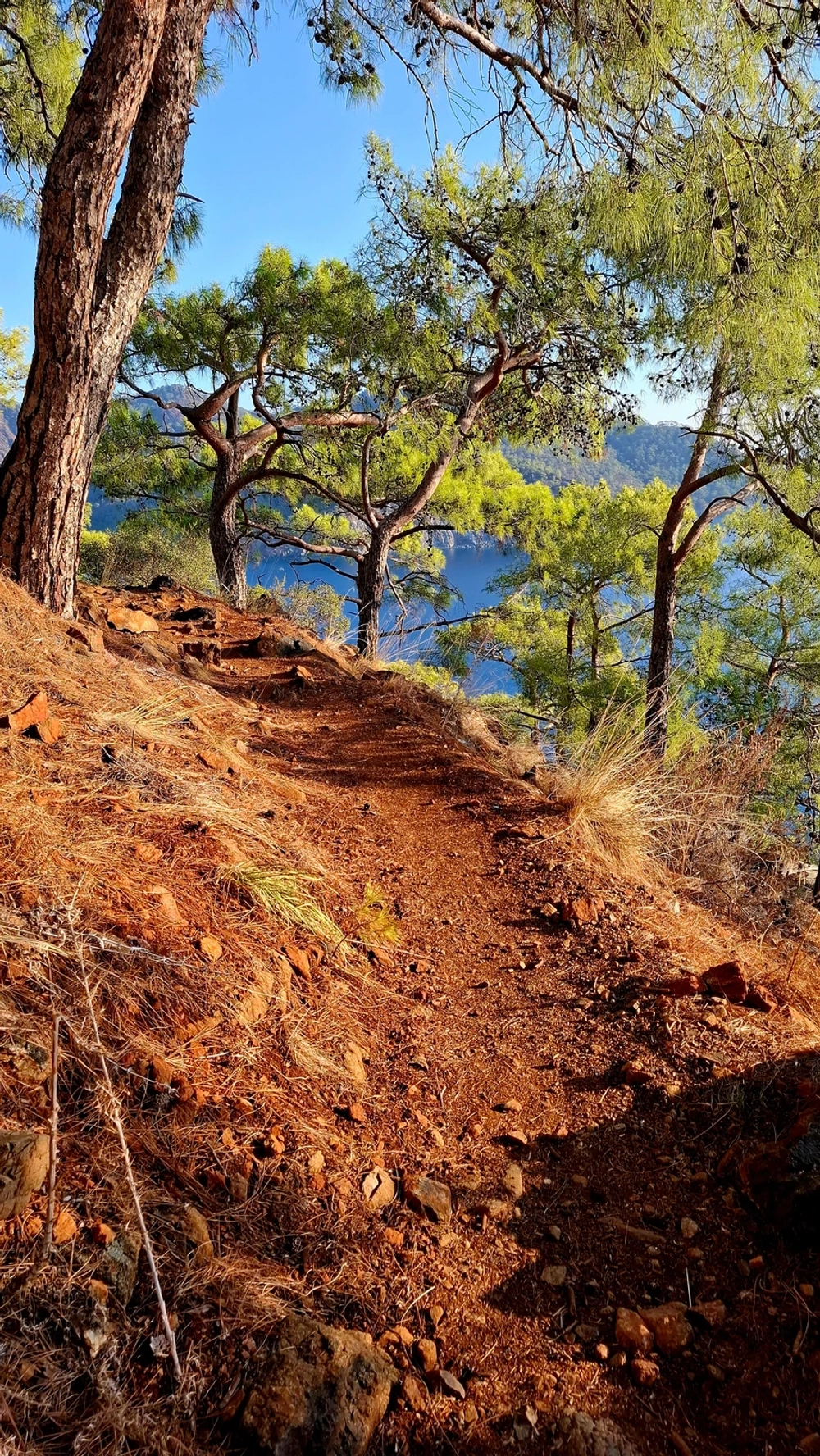 Поход по Ликийской тропе - Турция