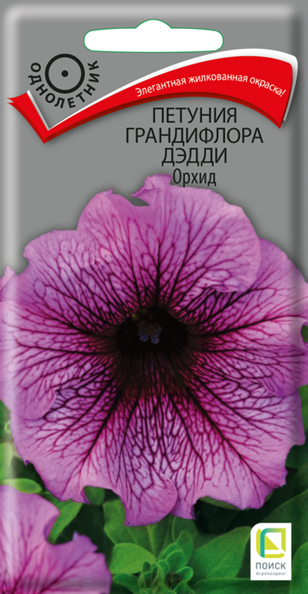 Петуния грандифлора Дэдди Орхид