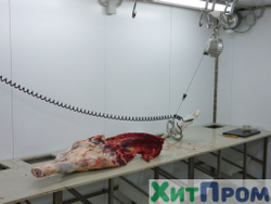 Комплекс убоя и переработки КРС до 20 голов/смена и МРС до 200 голов/смена. р. Татарстан