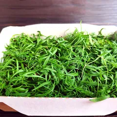 СРЕЗ / Кресс-укроп (лоток) / 30 гр