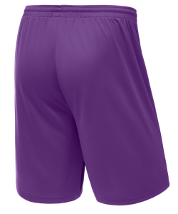 Шорты баскетбольные Camp Basic, фиолетовый, детский