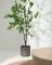 Enkianthus Искусственное дерево с черным горшком 214 см