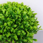 Цветочная композиция «Green garden» 10*12см в горшке, зелень