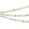 Светодиодная лента Arlight RT-A120-8mm 24V Day4000 024570(2)