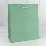 Пакет подарочный 18х23х10см "Фактура" (Зеленый)