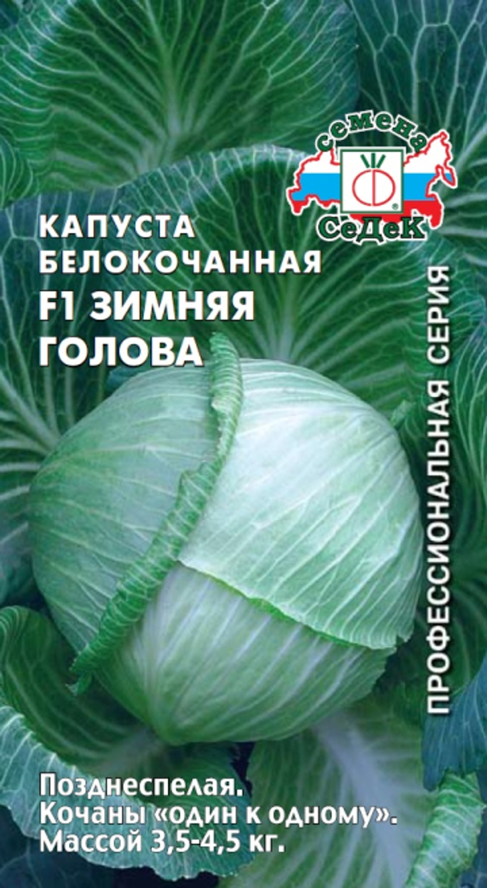 капуста Зимняя голова F1