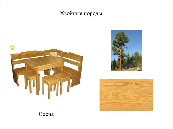 Коллекция "Древесные породы"