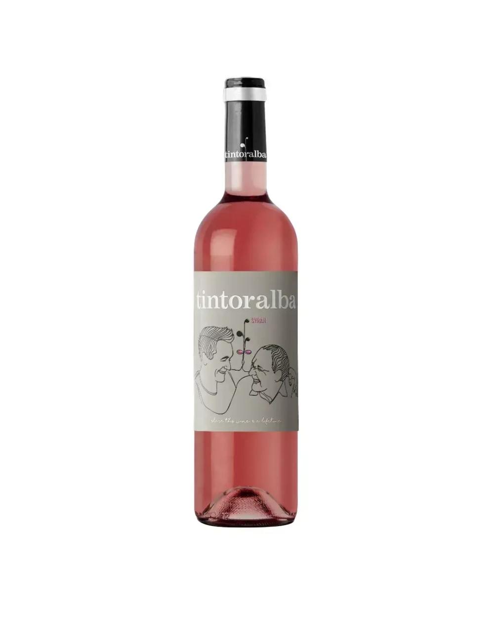 Tintoralba Rose