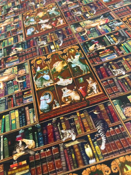 КОТЫ НА ПОЛКАХ  купон 42/110 см 4