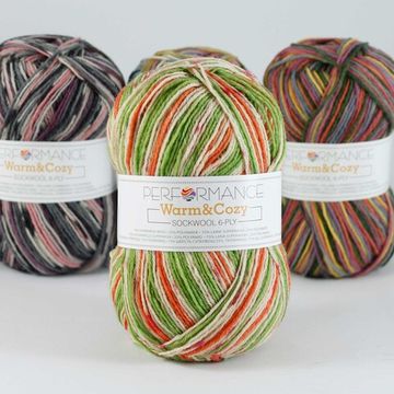 Пряжа Warm & Cozy 6-ply PERFORMANCE (75% шерсть супервош, 25% полиамид)