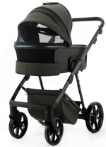 Детская коляска Adamex Delta Natura 3 в 1 DN-12-FOREST