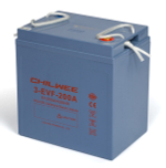 Тяговая аккумуляторная батарея Chilwee 3-EVF-200A