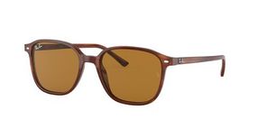 Очки Ray Ban Leonard RB2193 954/33