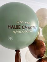 Воздушные шары на выписку №8960