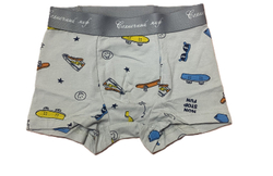 Трусы- боксеры из кулирки (95% хлопок и 5% лайкра) на рост 104 см