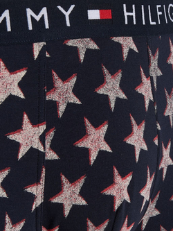 Мужские спортивные боксеры Tommy Hilfiger Trunk Print 1P - разноцветный