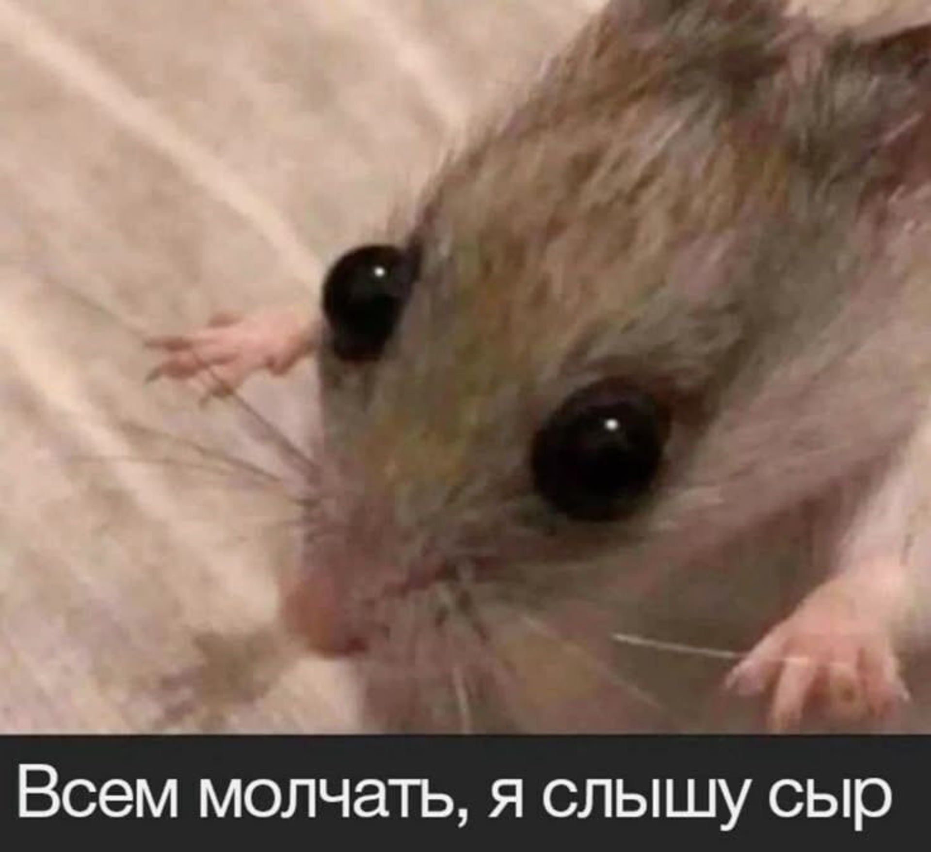 Манифест ChurcHehe 3D Print & Paint