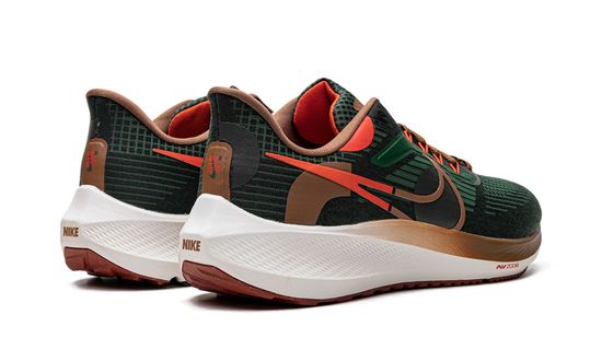 Кроссовки Nike Air Zoom Pegasus 39 "A.I.R. Hola Lou"