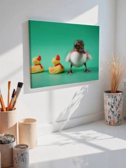 Картина на стену 40 X 50 Утенок