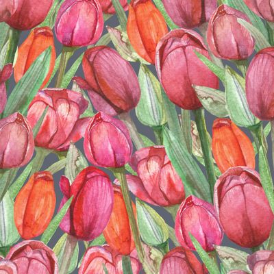 Акварельные разноцветные тюльпаны на сером фоне