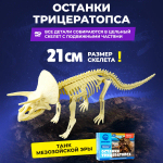 Раскопки динозавров "Трицераптопс"