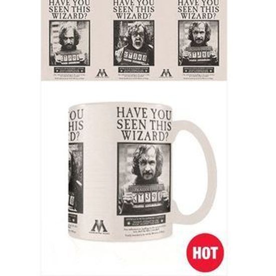 Кружка Хамелеон Гарри Поттер (Разыскивается Сириус Блэк)