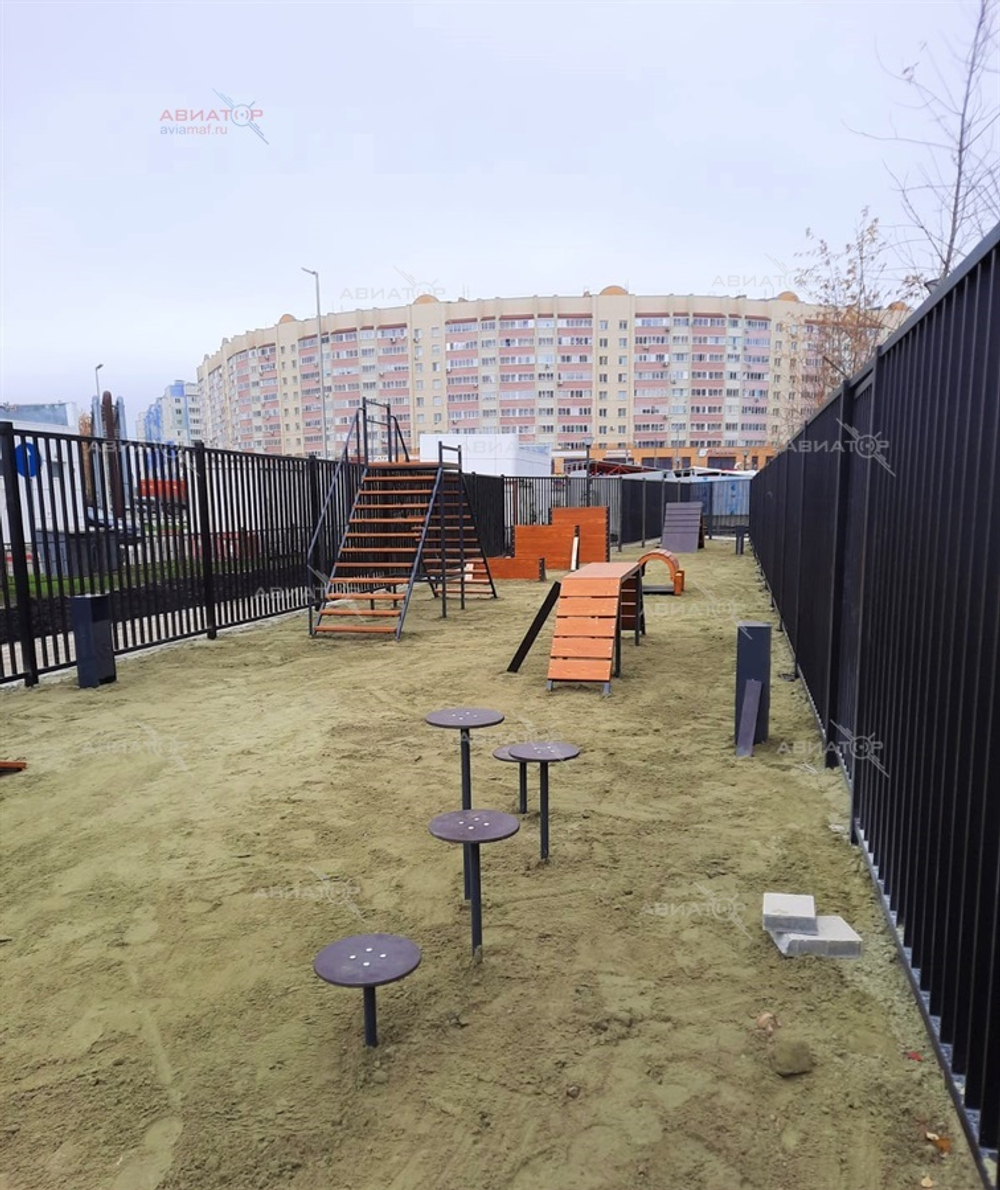Дорожка пеньков
