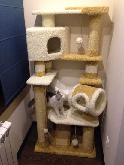 Дом для кота И-18