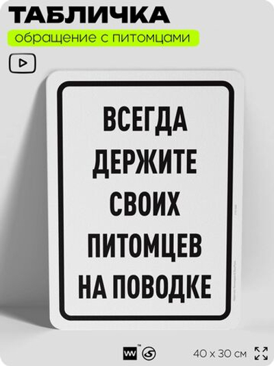Табличка "Всегда держите своих питомцев на поводке" на дверь и забор, для двора, дома, подъезда, 40х30 см, Silver Plane x Айдентика Технолоджи