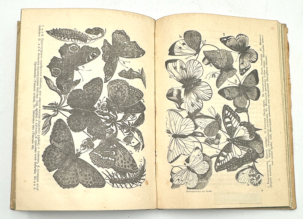 Вагнер Г. Путешествие по полю и ниве : Прогулка с молодыми друзьями Германа Вагнера . СПБ.-М. 1907