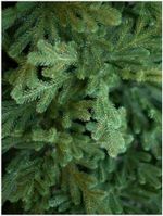 Ель искусственная «Мэдимон» (Литая хвоя) 180 см / 1.8 м