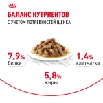 ROYAL CANIN Mini Puppy Корм консервированный для щенков мелких пород в возрасте до 10 месяцев, кусочки в соусе, 85 г