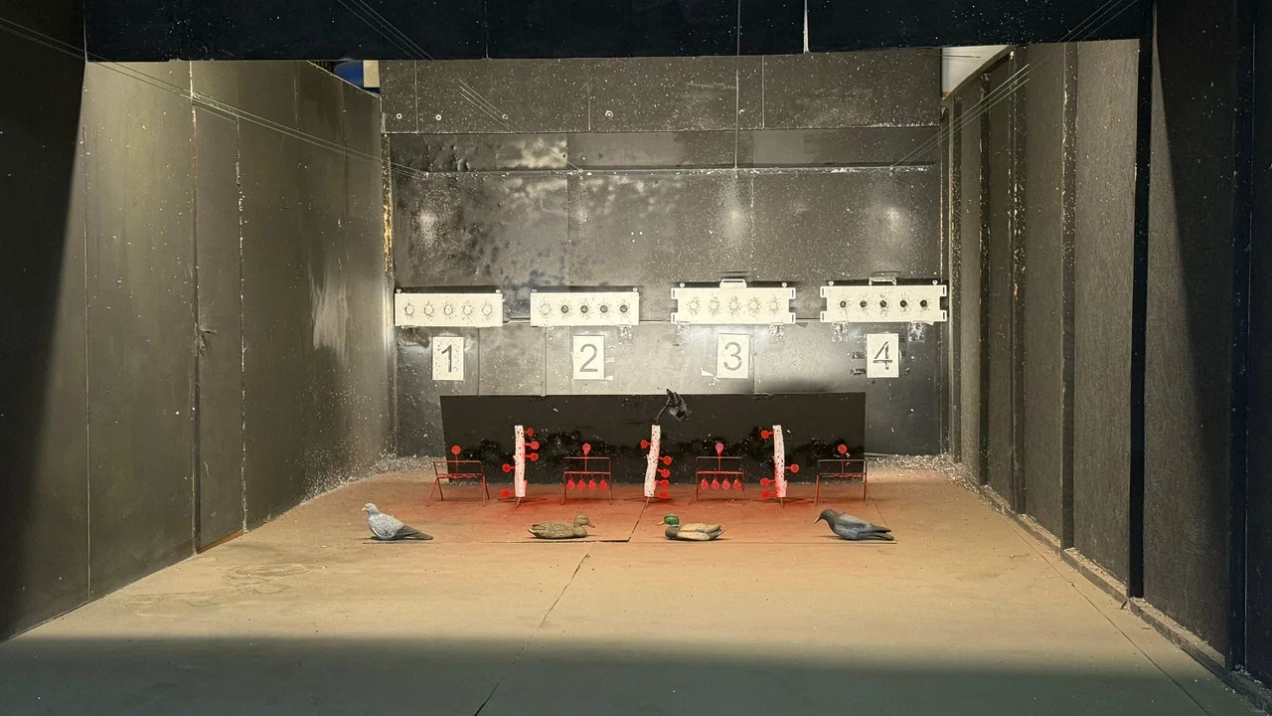 Пневматический тир