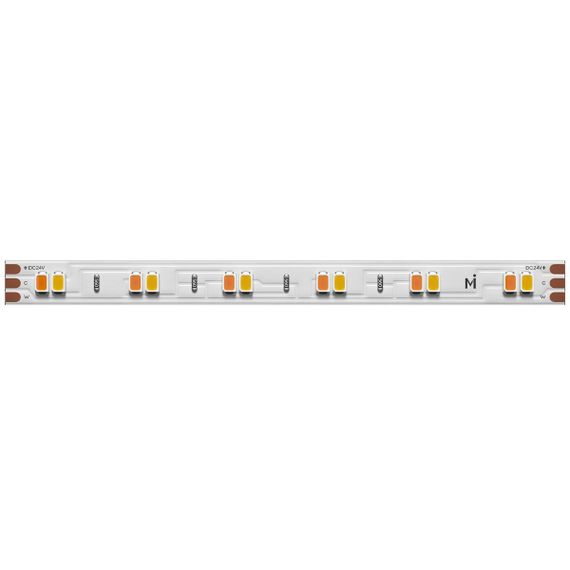 Светодиодная лента Maytoni 12W/m 120LED/m 2835SMD от теплого до холодного 5M 201123