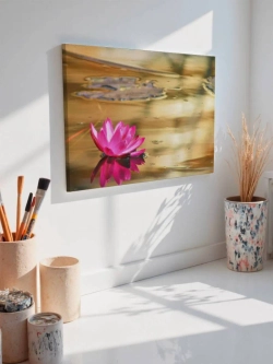 Картина на стену 40 X 50 Кувшинка