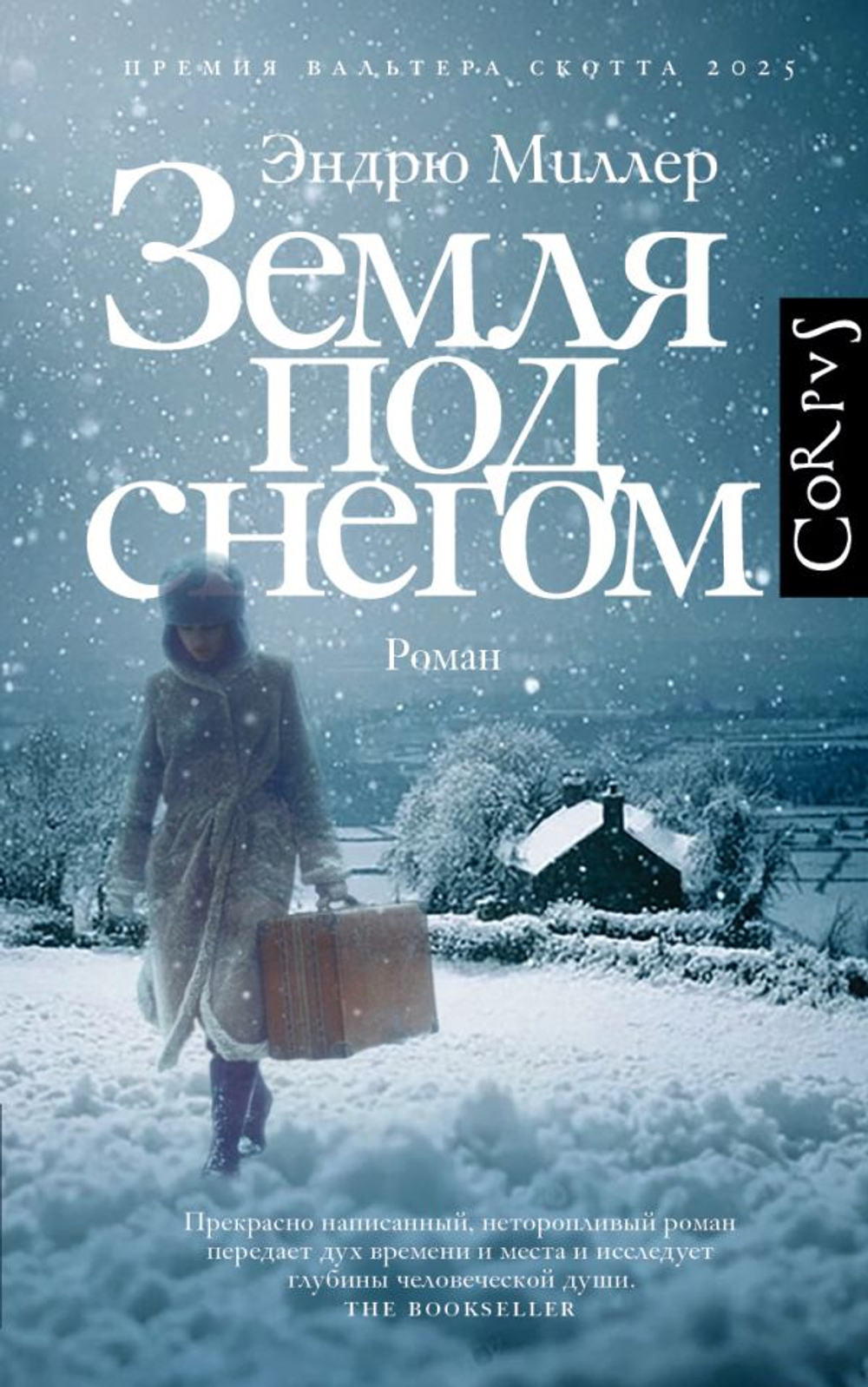 Земля под снегом
