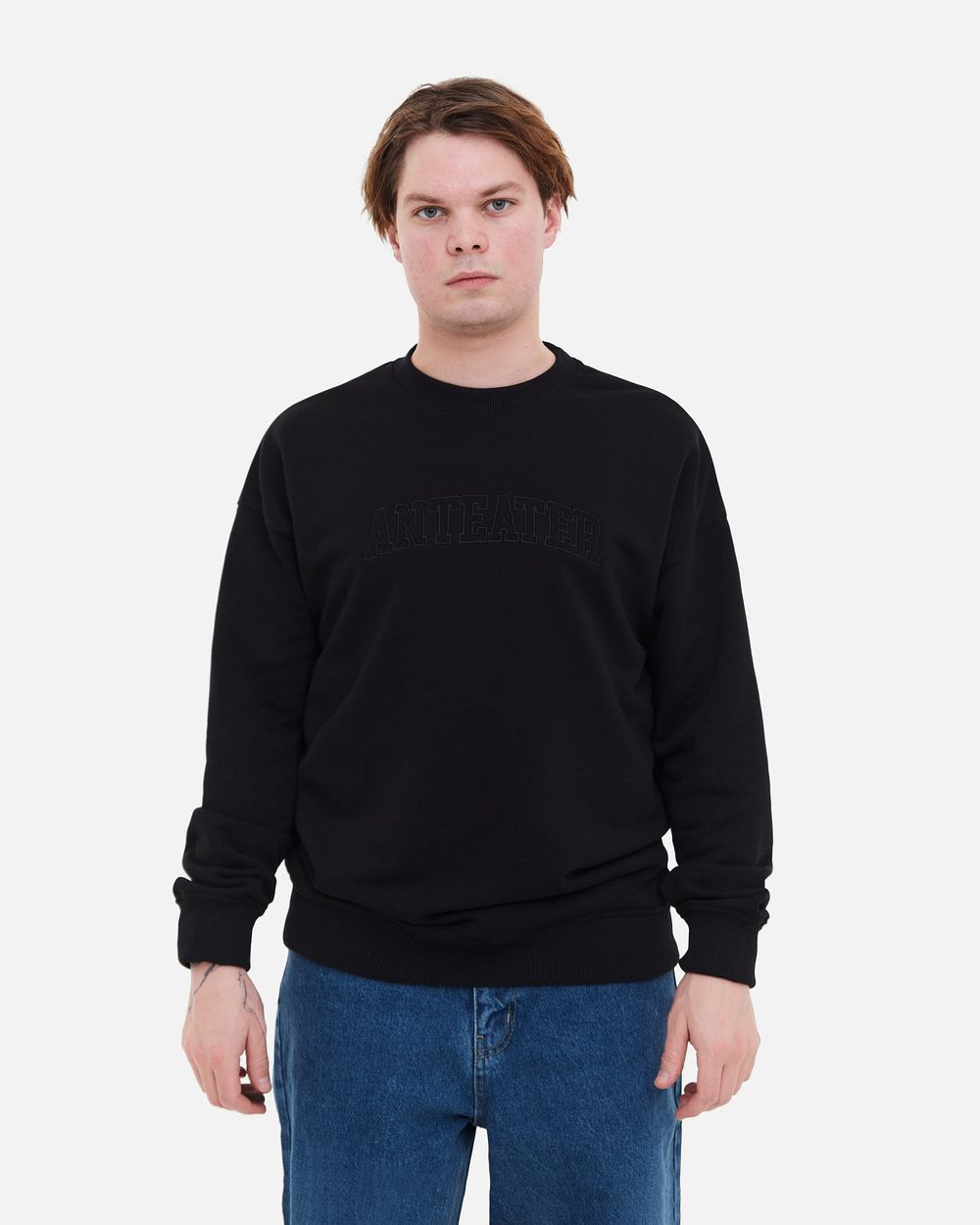 Толстовка Anteater Crewneck BigText черная