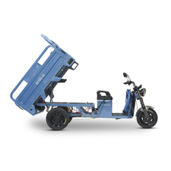 Электротрицикл RuTrike Вектор 1500 (1200Вт, 60B)