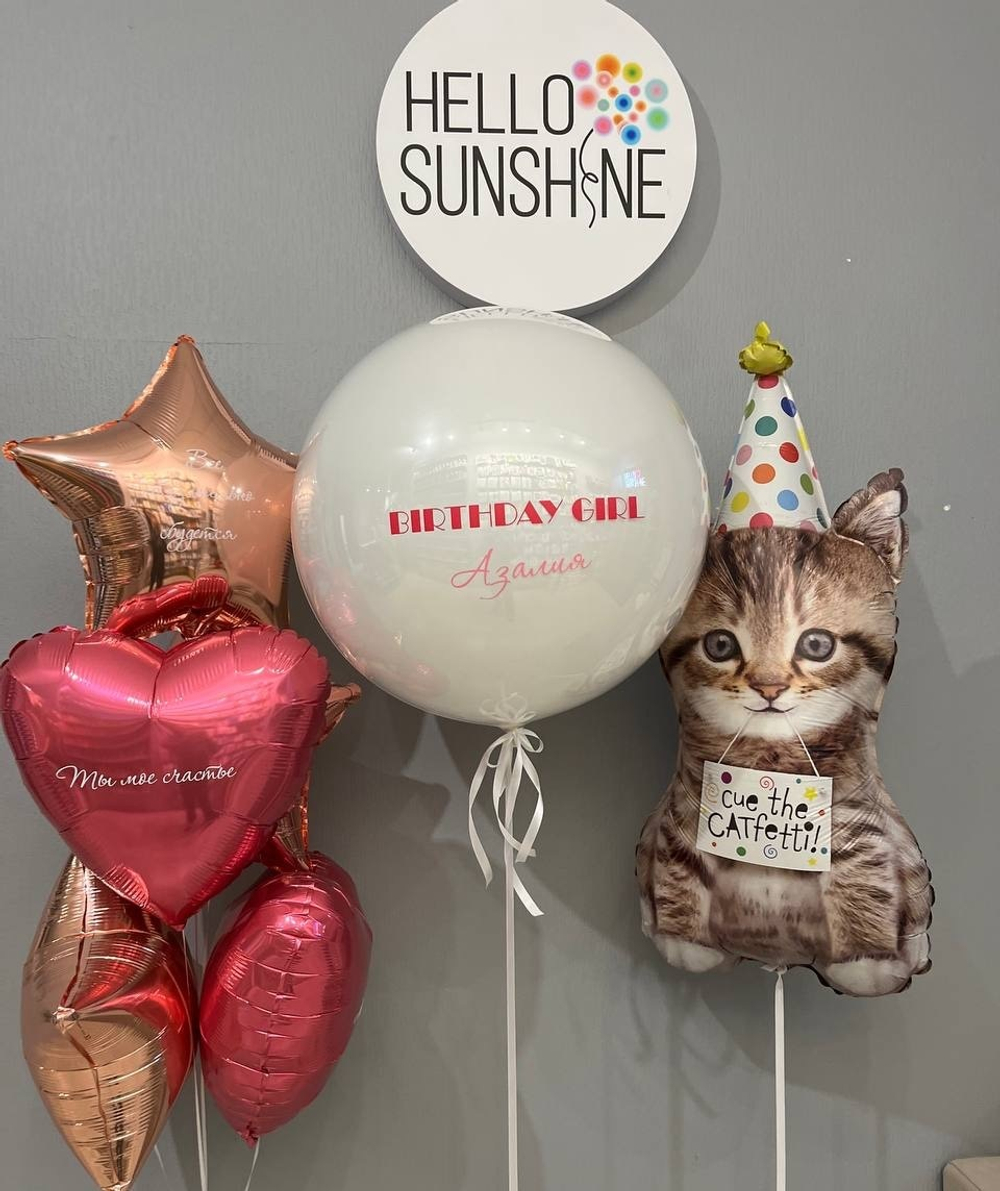 Набор шаров Стильный Кот в Колпаке