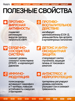 Рейши Линчжи 90 капсул