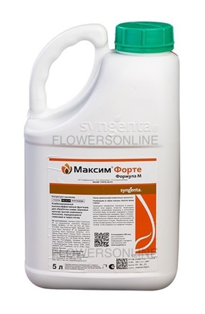 Максим Форте