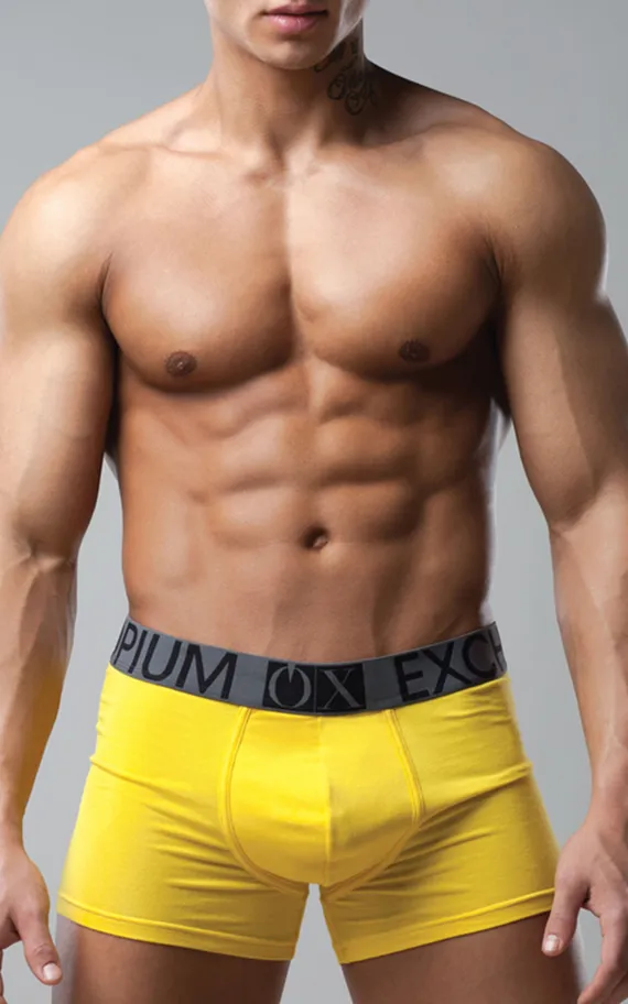 Мужские трусы R-54 Желтый